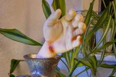 WhatsApp-Image-2023-11-01-at-13.14.59